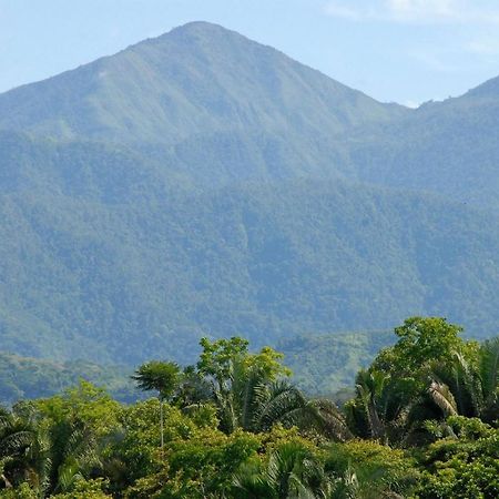 Villa Kiskadee Quepos Exteriör bild